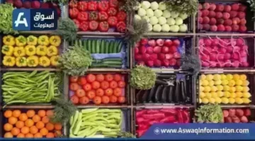 تراجع أسعار الكوسة في سوق العبور خلال تعاملات اليوم الأربعاء بالأسواق